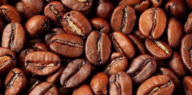 semillas de cafe