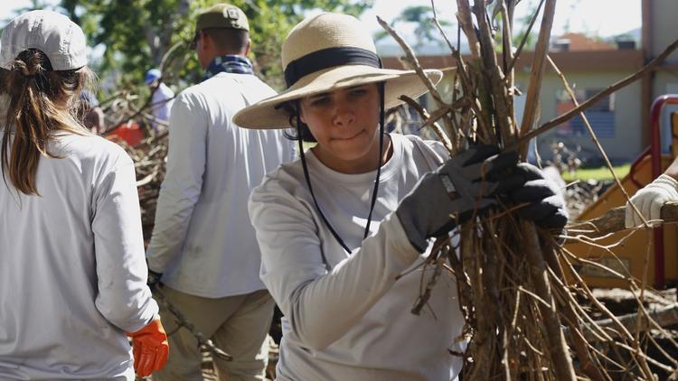voluntario-reforestar-puerto-rico