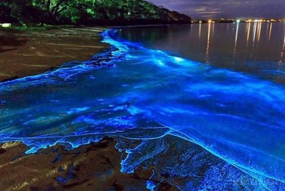 Puerto Rico y sus bahías bioluminiscentes