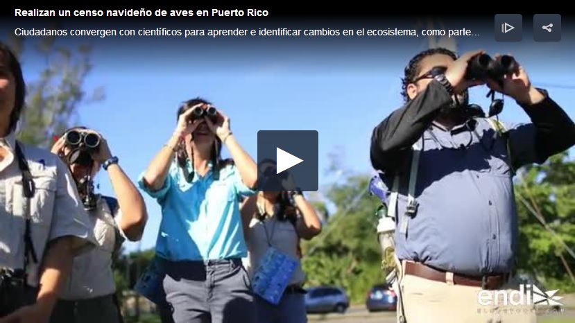 censo de aves en Puerto Rico