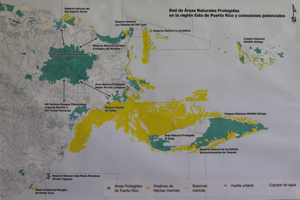 diseno de vereda para interconectar El Yunque