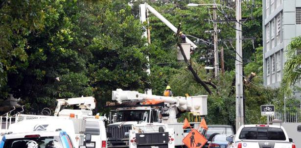 arboles que interfieran con cables de la luz