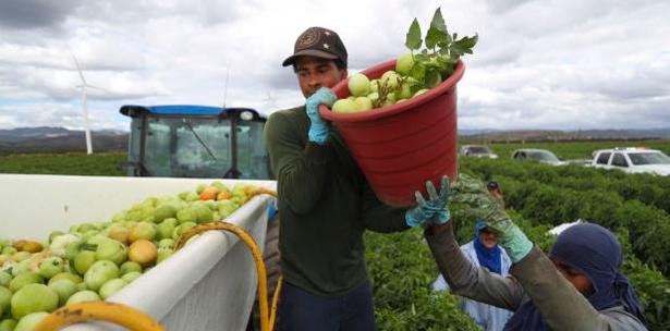 Programa de Asistencia Nutricional PAN