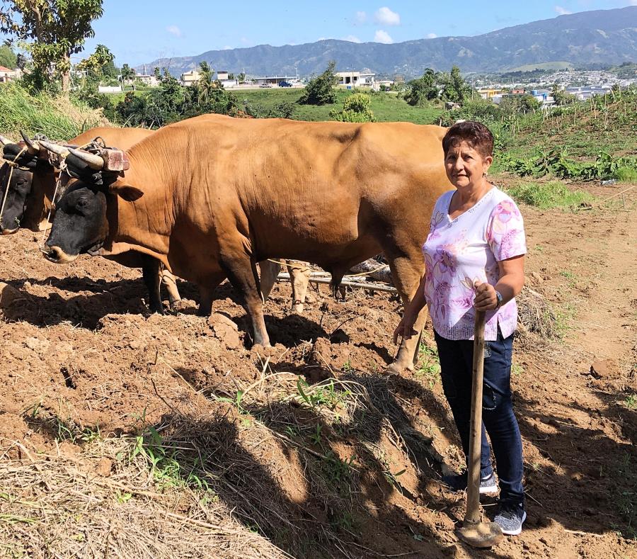 agricultura