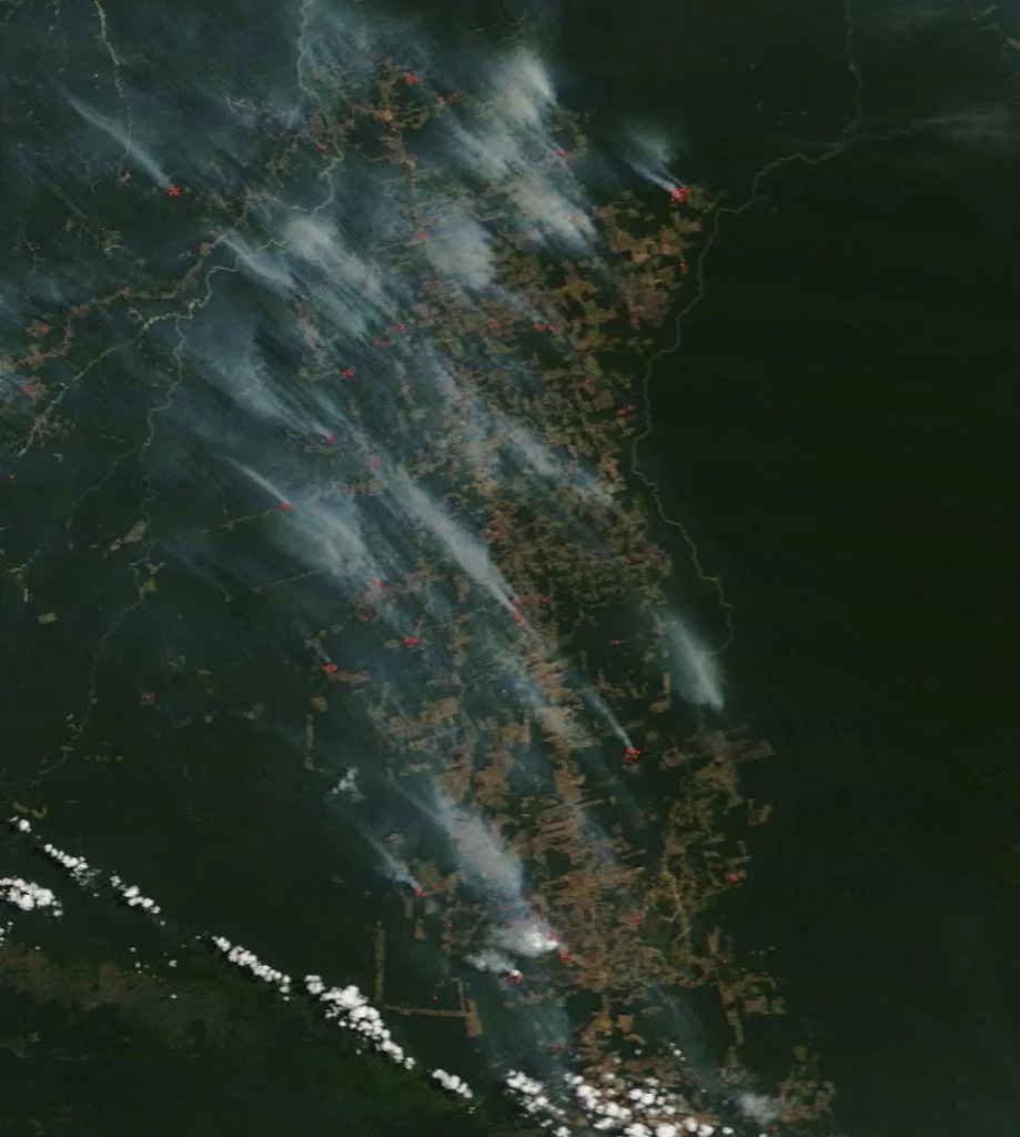 imagen satelital incendios Amazonia