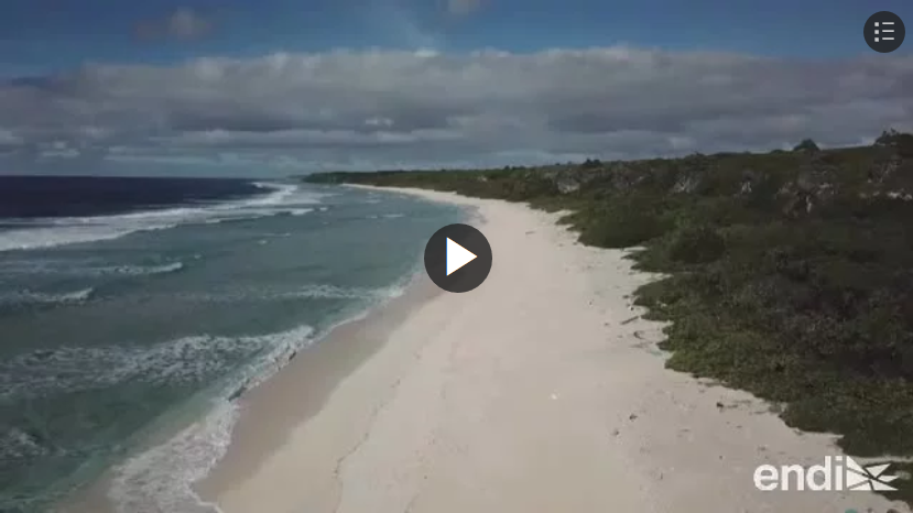 isla Henderson Pacífico arruinado por contaminación plastica