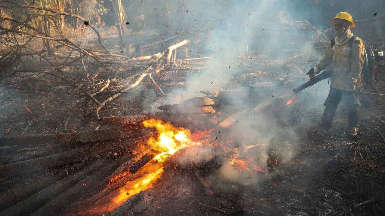 Bombero Incendio Amazonas