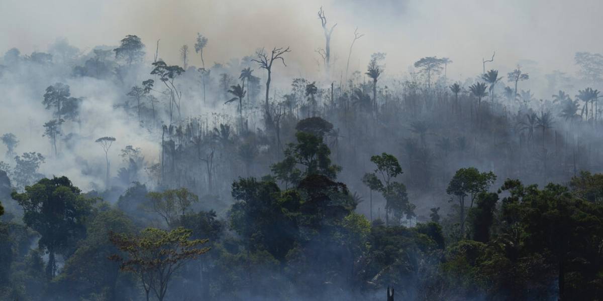 Incendios Amazonia Brasilena