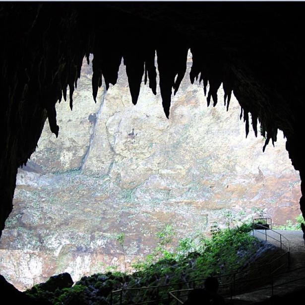 Cavernas De Camuy Puerto Rico
