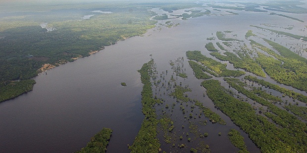 Vista De La Amazonia