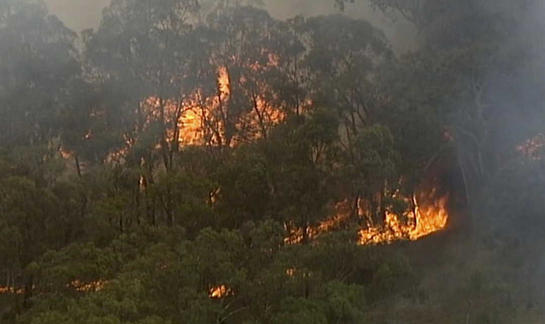 Incendios En Australia